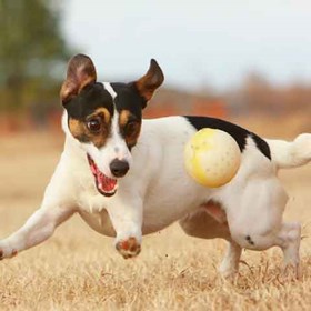 My Collection: My Collection